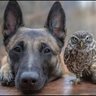 Фото профиля Watchdog22