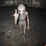 J_racula🩸's profile picture