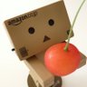 こばと's profile picture