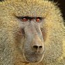Motshweneng's profile picture