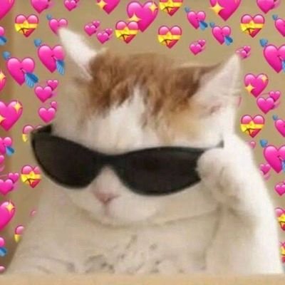あい's profile picture