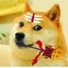 Profilbild von Hindutva Beast