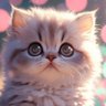 Pompomsauce's profile picture