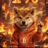 David's profile picture