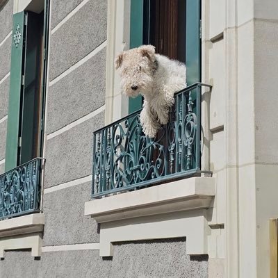 Bella Trg's profile picture