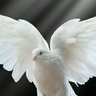 loverforever profil fotoğrafı