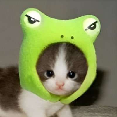 김송𖦹l!!'s profile picture