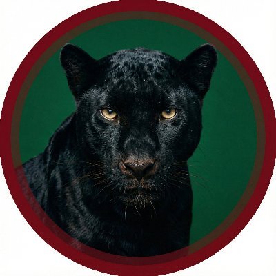 WolfRiccardo's profile picture
