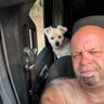 Pacalsimard's profile picture
