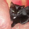 oldie's profile picture
