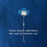 Elf's profile picture