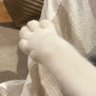Profilbild von hal (ねこぱんち🐈⬛)