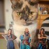 よっちー profil fotoğrafı