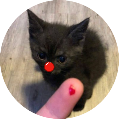 Simply QOO's profile picture