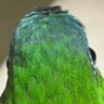 Profilbild von Earlg