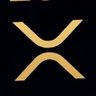 Profilbild von Never Sell Your XRP