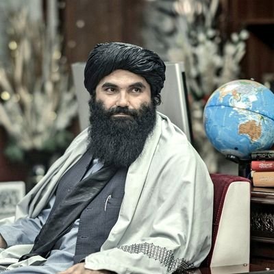 BadreTalib31494's profile picture