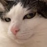 Profilbild von SonoestancaUffa©