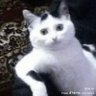 ShuruqM profil fotoğrafı