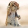 EliStau's profile picture