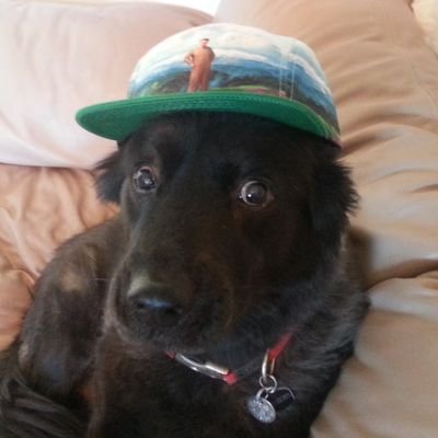shirtwascash's profile picture