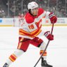 Calgary Flames Watcher's profile picture