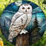 Northern Lights's profile picture