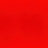 Tinku Goebbels's profile picture