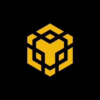 BNBCHAIN's profile picture
