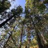Profilbild von Brian Gonz