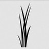 Grass profil fotoğrafı