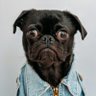 Profilbild von Gordon Bennett