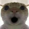 Profilbild von Oops