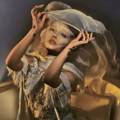 ari-magine ☾ ꕤ's profile picture