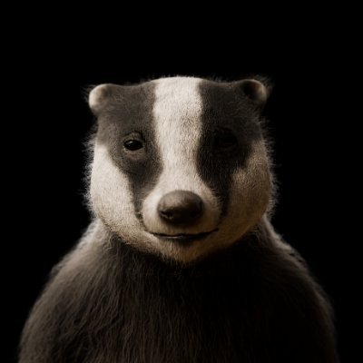 yamananimation's profile picture