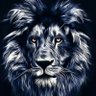 MOHAMED's profile picture