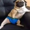 frank's profile picture