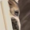 Andriii's profile picture