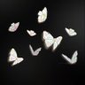 摇摇星光's profile picture