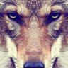Profilbild von new me