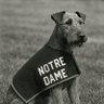 Clashmore Mike's profile picture