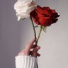 Profilbild von شــيــخــه