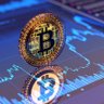 iAmTheCryptoOG 的头像