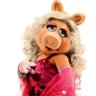 🐷 little piggy 的头像