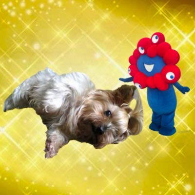 xdgjp's profile picture