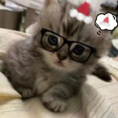 XiaoJue_owo's profile picture
