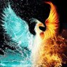 Profilbild von Fenix 🇦🇷