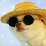 Profilbild von Pogona