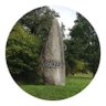 Dom L's profile picture