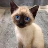 hi agen profil fotoğrafı
